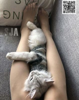 睡美人在线观看免费完整