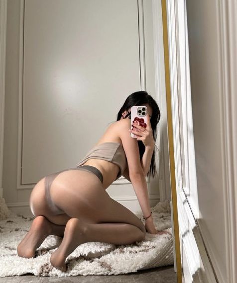 美丽的邻居
