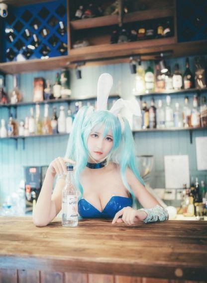 布衣天子