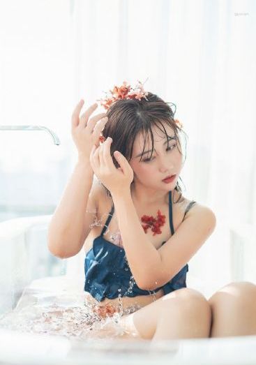 菲梦之星