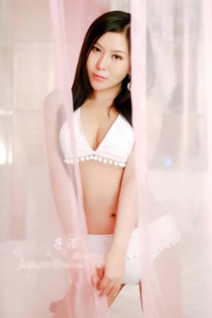 汪汪队立大功