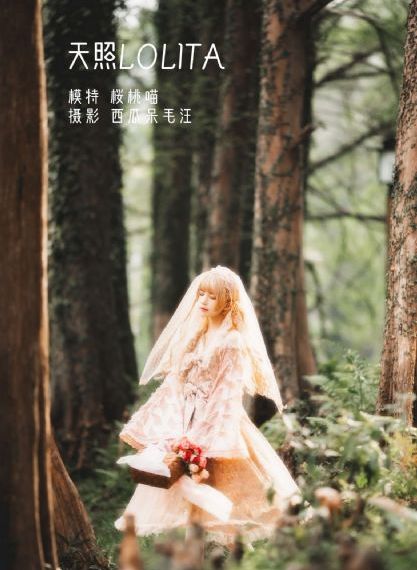 狮子王英文版免费高清完整版